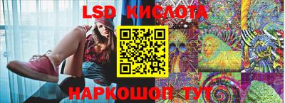 PSILOCYBIN Краснодар