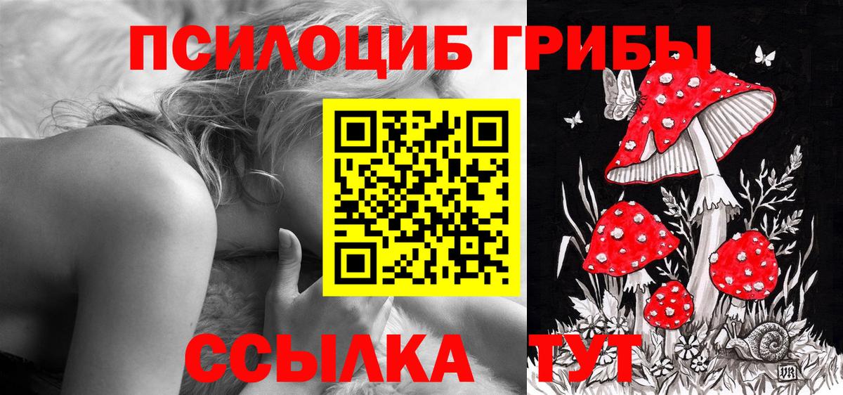 Псилоцибиновые грибы мицелий Карталы